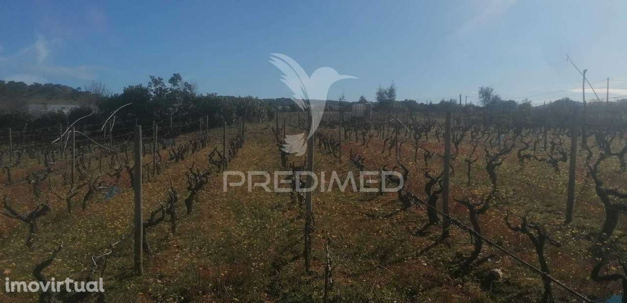 Terreno Industrial - Grande imagem: 2/7