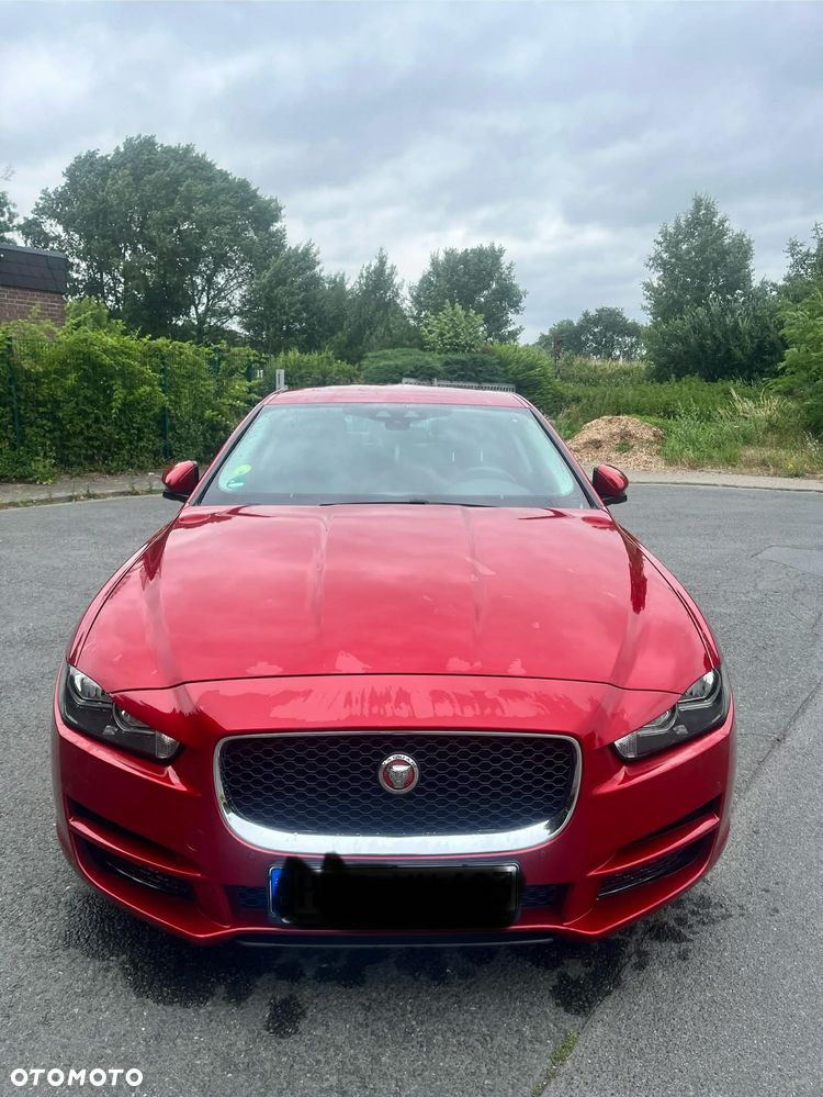 Jaguar XE E-Performance Pure - 1