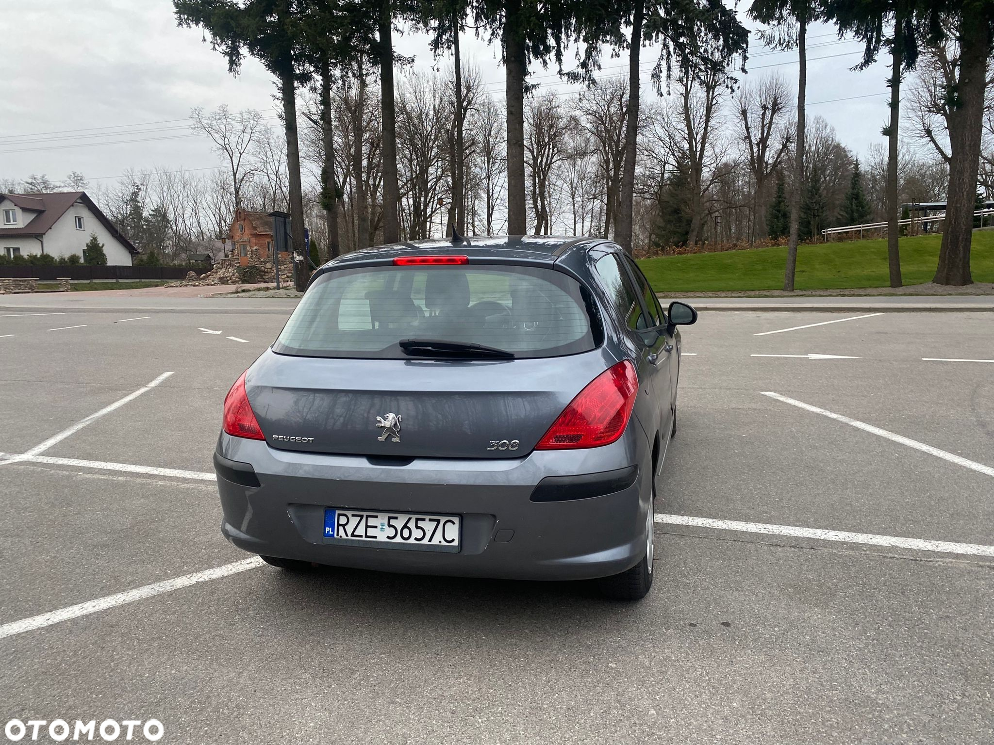 Peugeot 308 - 5