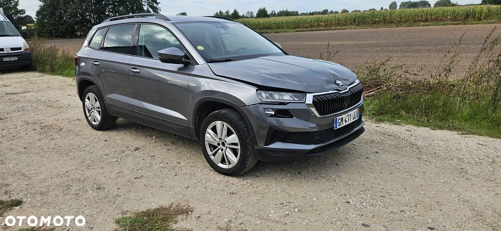 Skoda Karoq - 7