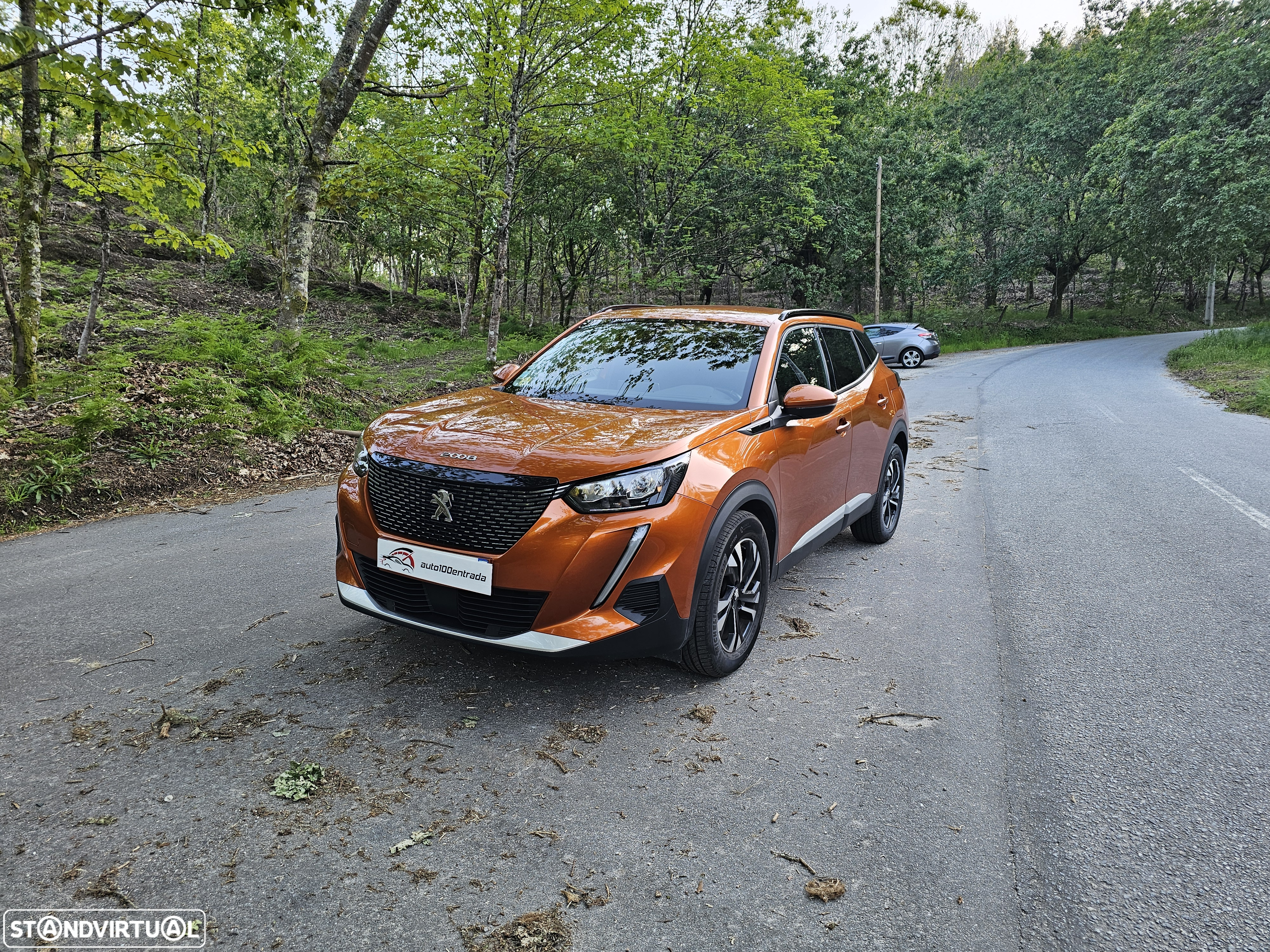 Peugeot 2008 ver-1-5-bluehdi-allure - 3