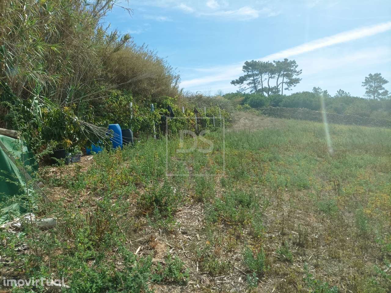 Terreno com 1.562 m² em Casal das Oliveiras | Proximidade à Ericeira e - Grande imagem: 3/8