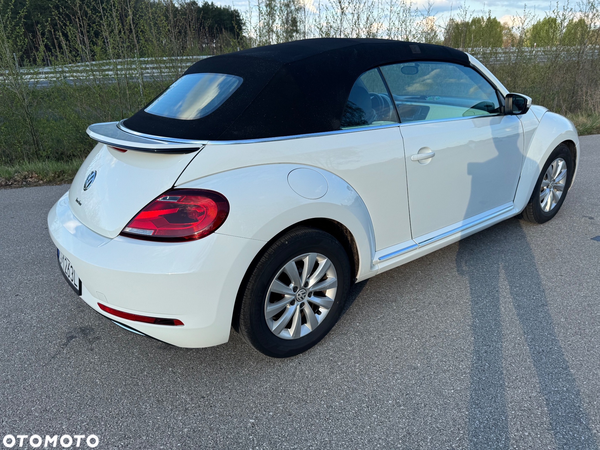 Volkswagen Beetle - 7