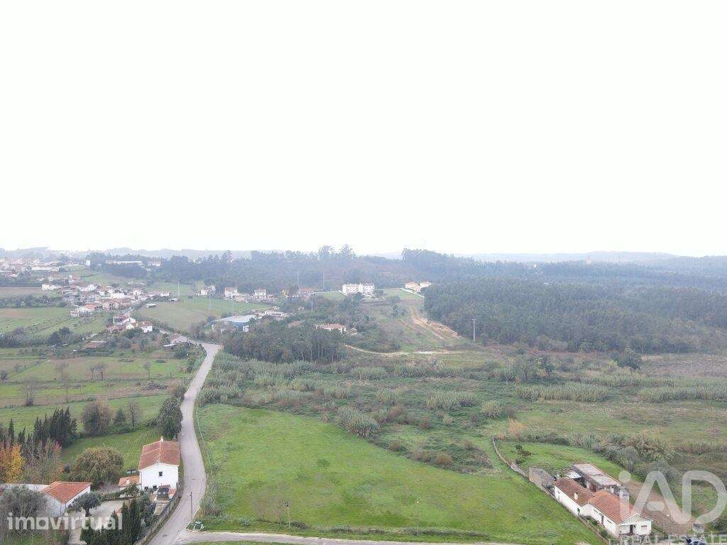 Terreno Agrícola em Eiras e São Paulo de Frades - Grande imagem: 4/10