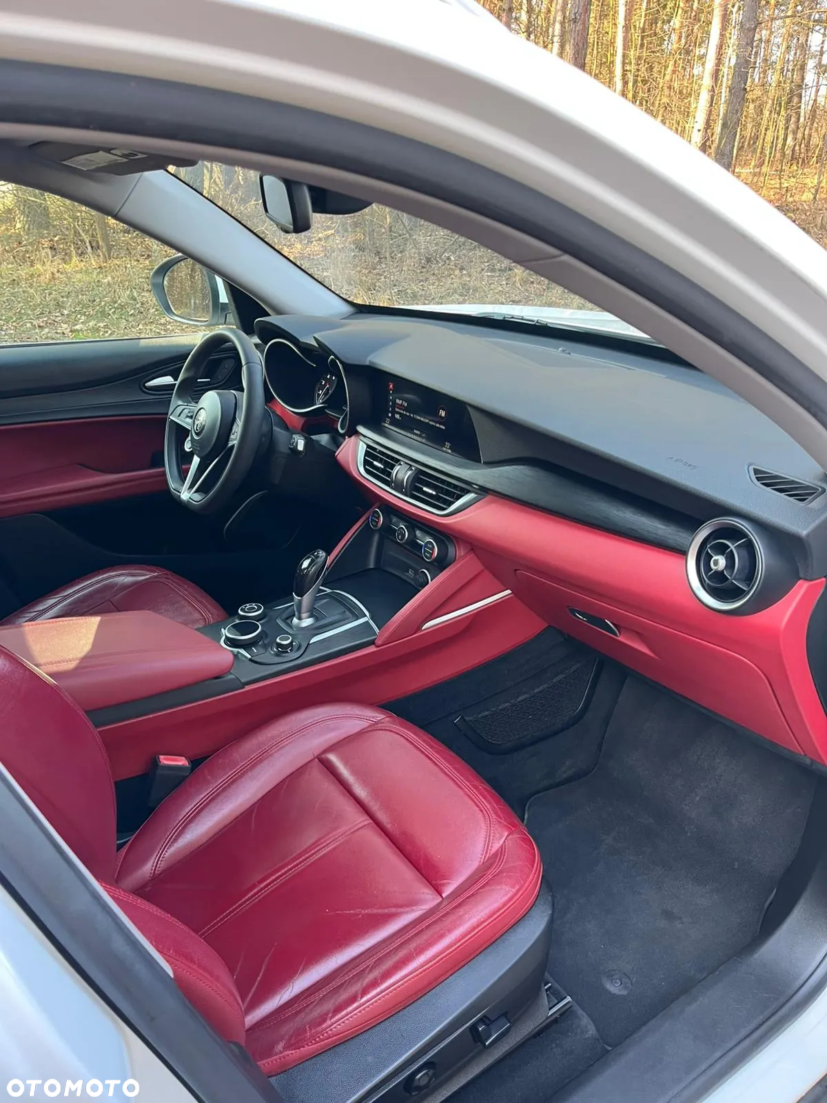 Alfa Romeo Stelvio 2.0 Turbo Executive Q4 - 12