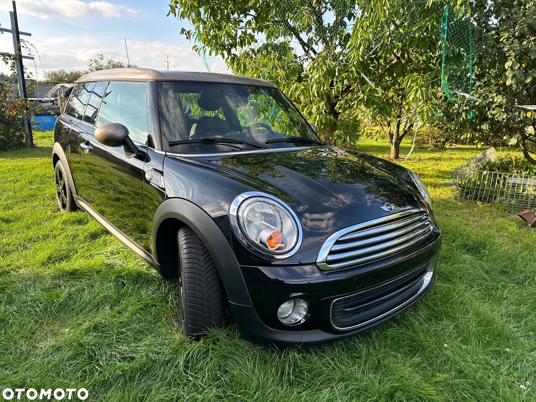 MINI Cooper - 1
