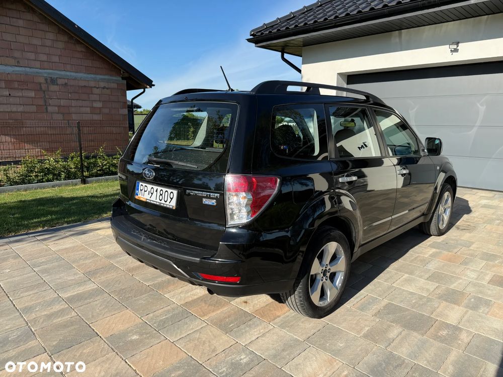Subaru Forester - 5