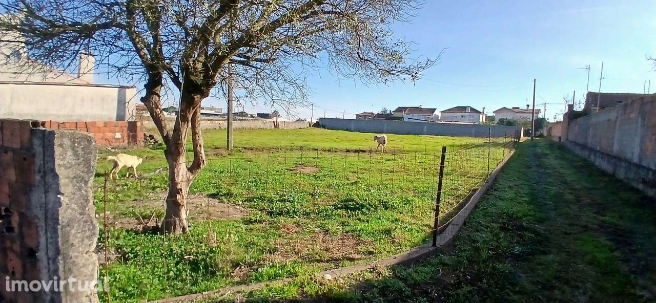 Lote Terreno venda Barqueiros - Grande imagem: 2/15