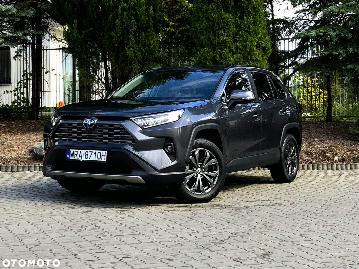 Toyota RAV4 - 33