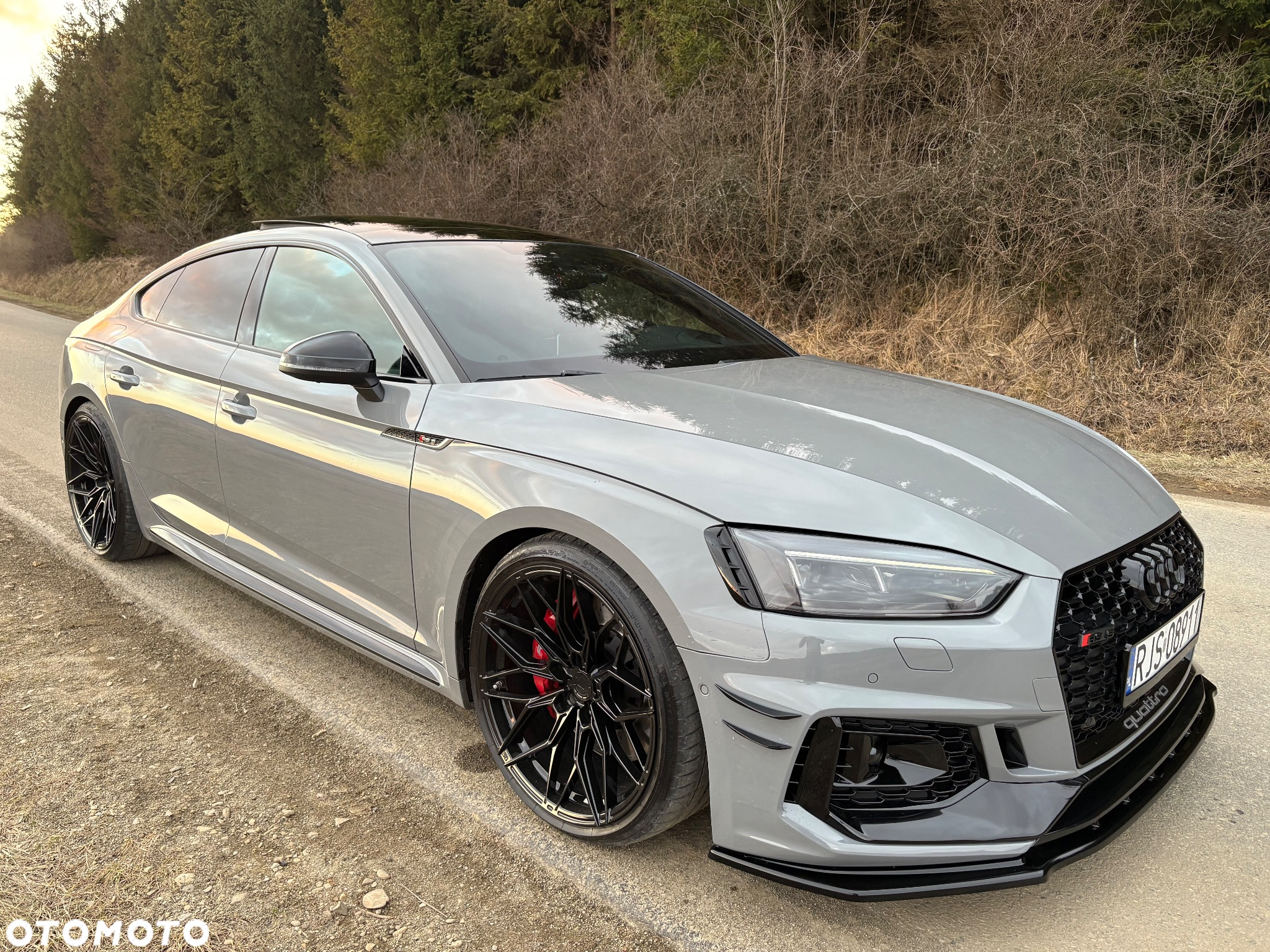 Audi RS5 Sportback 2.9 TFSI quattro tiptronic - 20