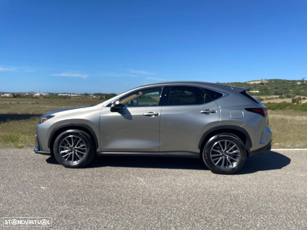 Lexus NX 450h+ Executive Plus - 9