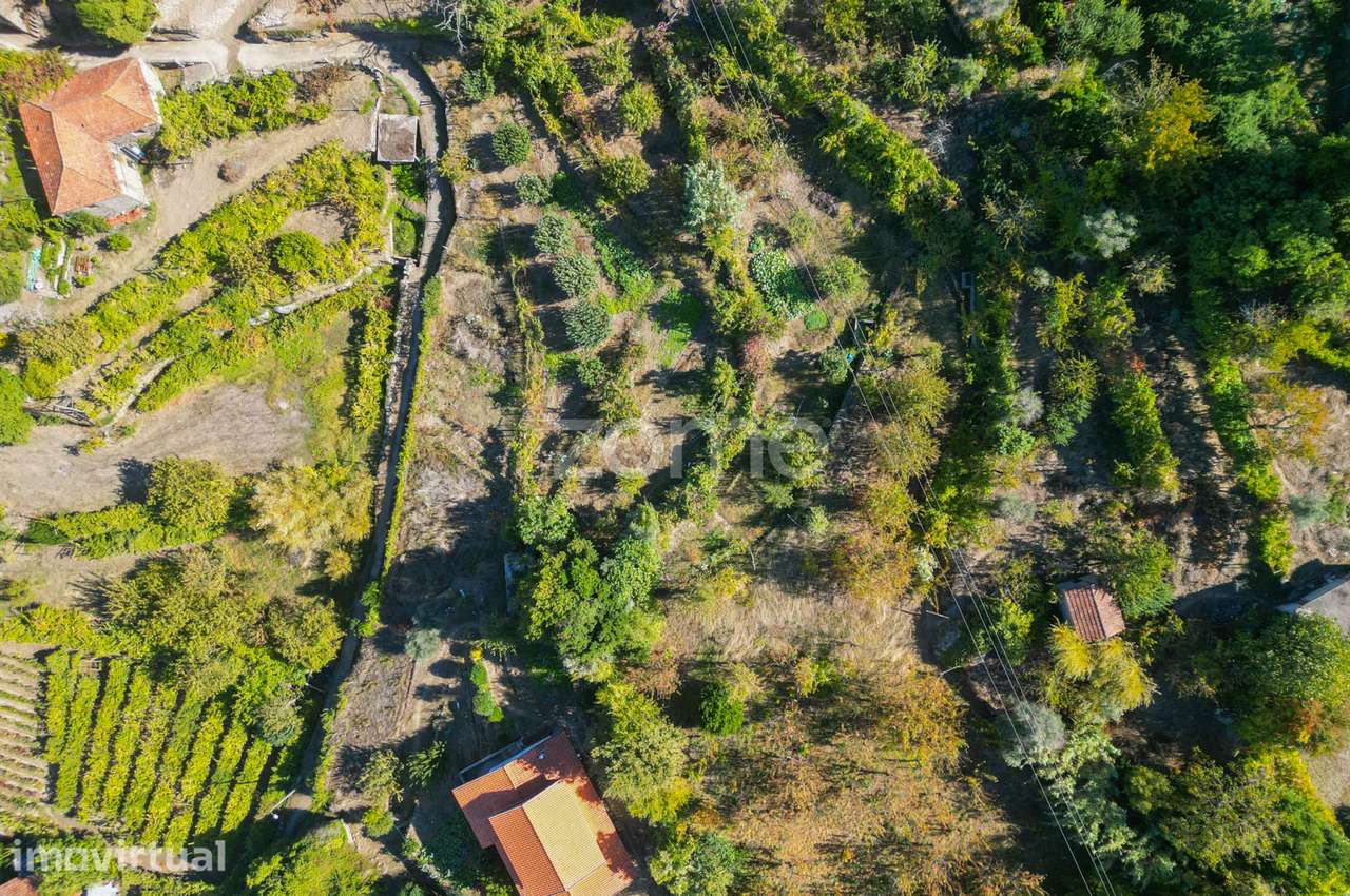 Terreno Rústico com Vistas Deslumbrantes para o Rio Douro - Grande imagem: 3/12