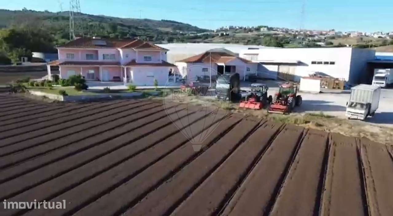Quinta T5 para venda - Grande imagem: 2/14