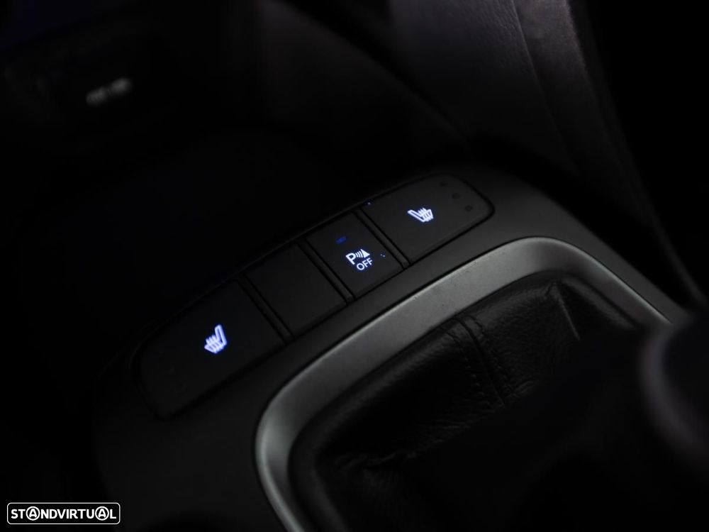 Hyundai Santa Fe - 19