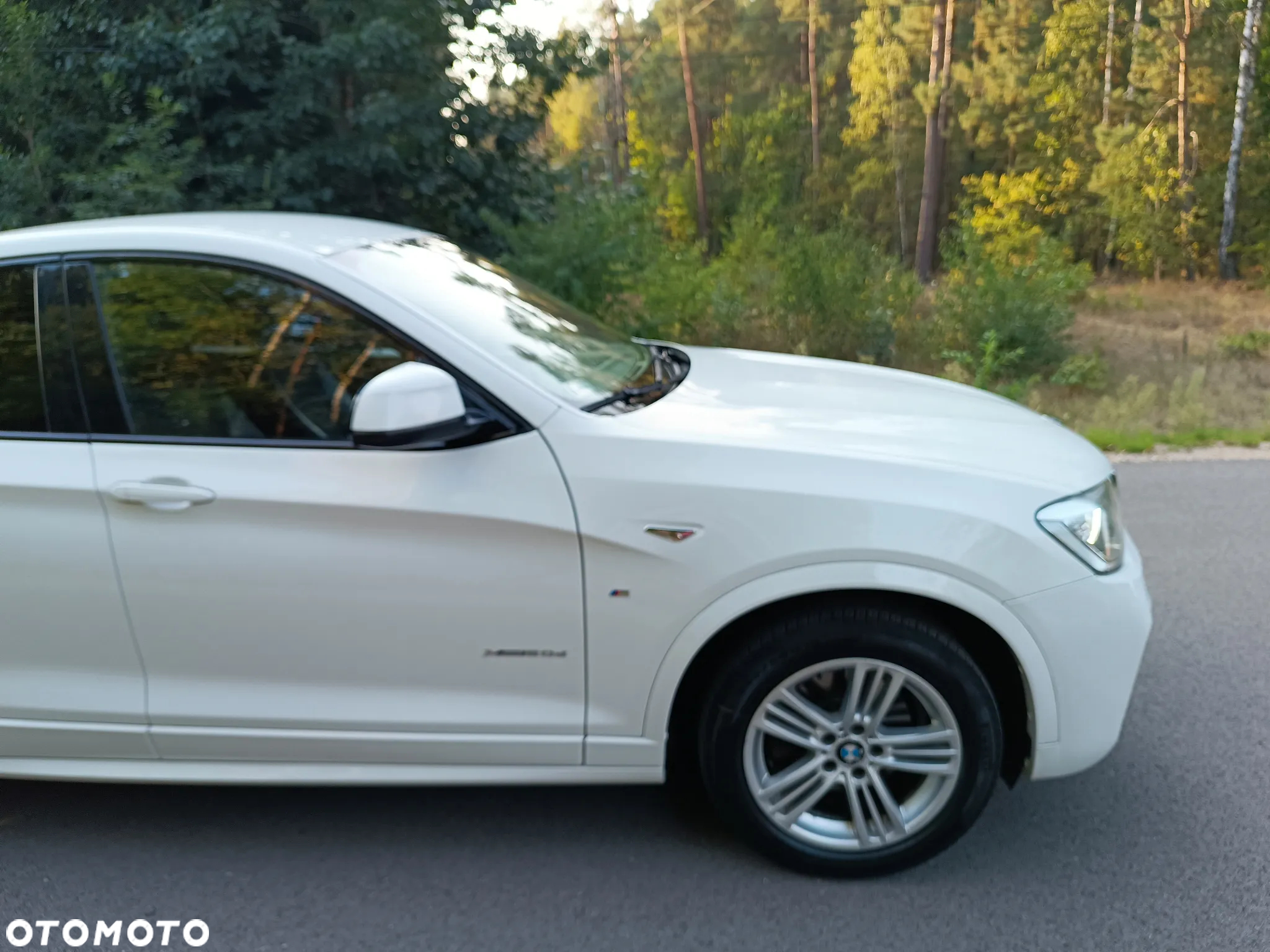 BMW X4 xDrive20d Edycja M Sport - 34