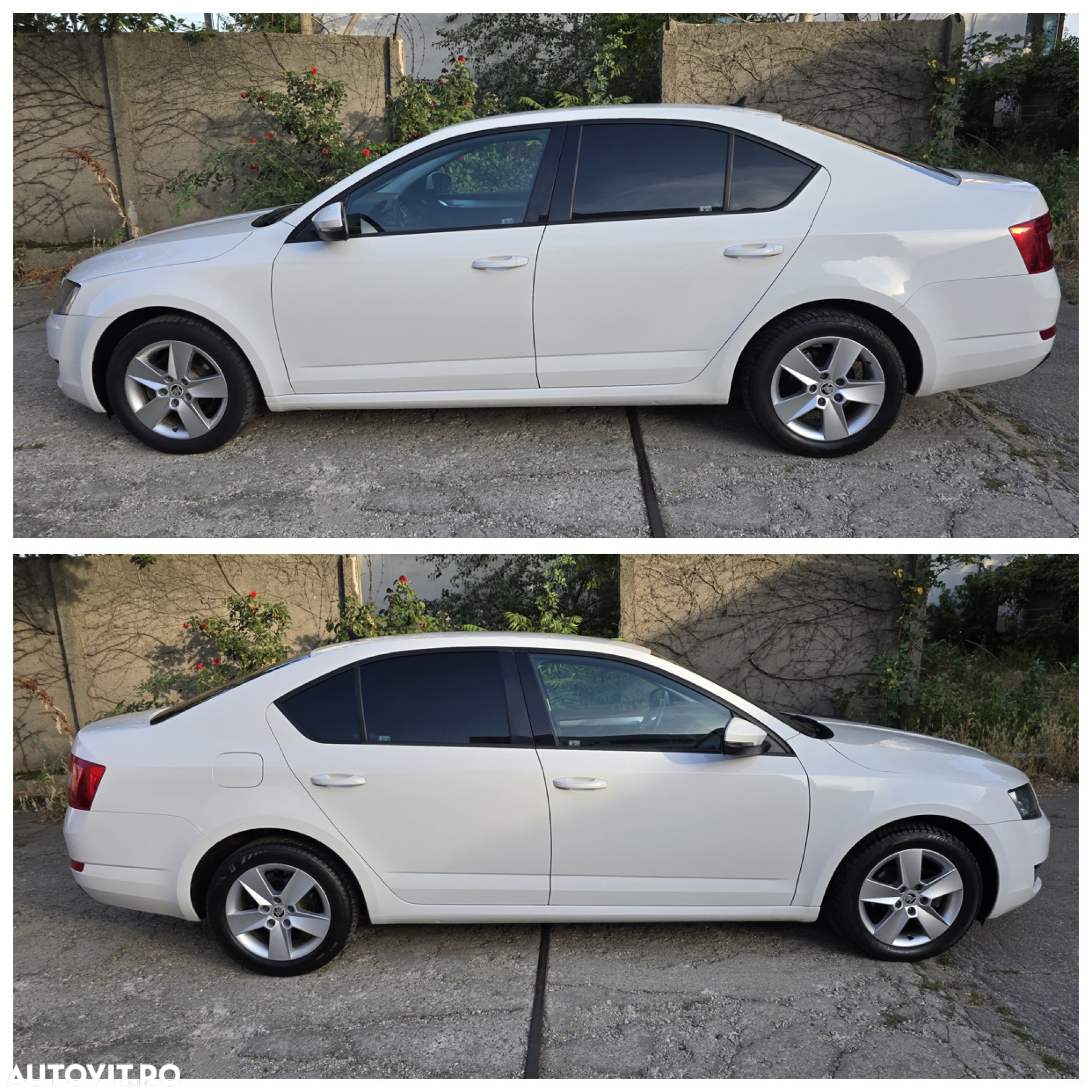 Skoda Octavia 1.6 TDI Ambition - 3