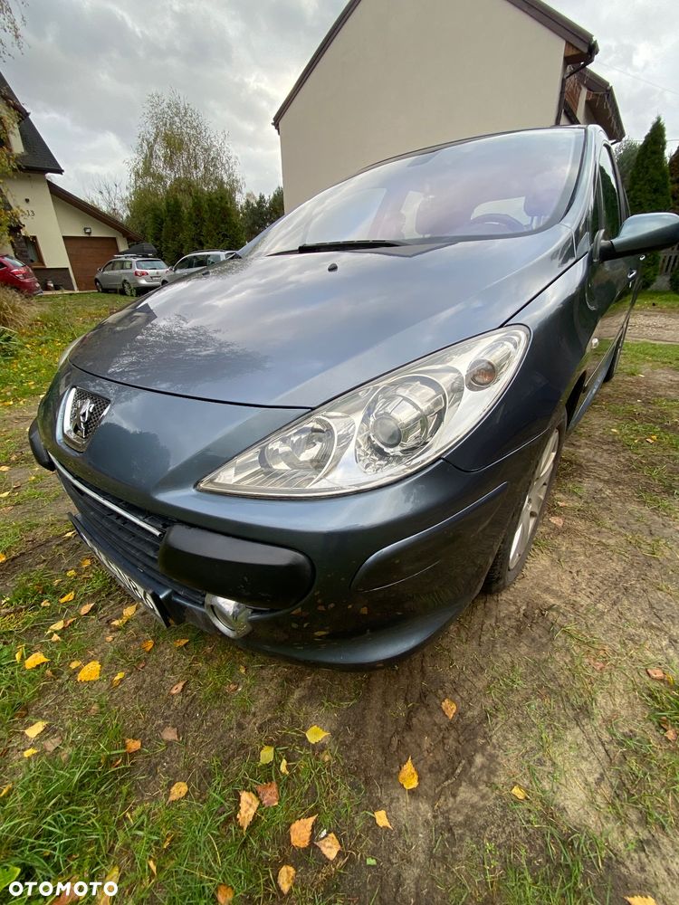 Peugeot 307 - 17