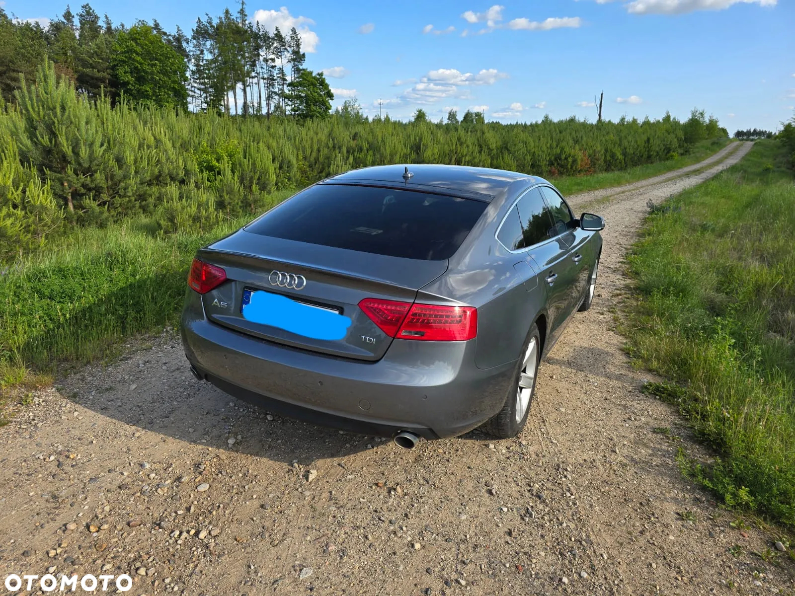 Audi A5 3.0 TDI Sportback DPF multitronic - 5
