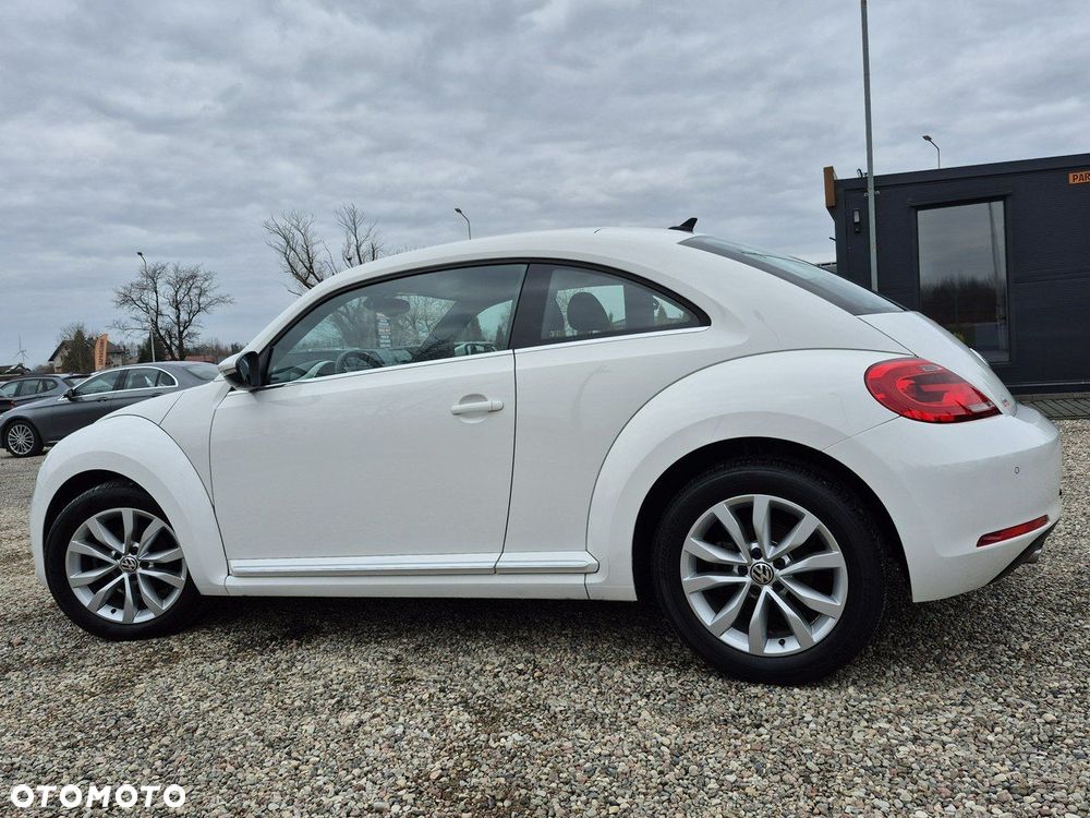 Volkswagen Beetle - 23