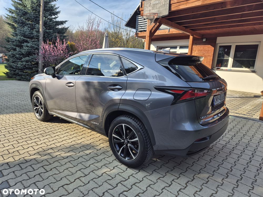 Lexus NX 300h Prestige AWD - 8