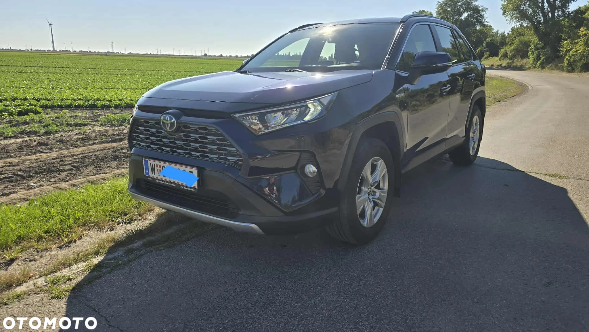 Toyota RAV4 2.5 Hybrid Executive 4x2 - 2