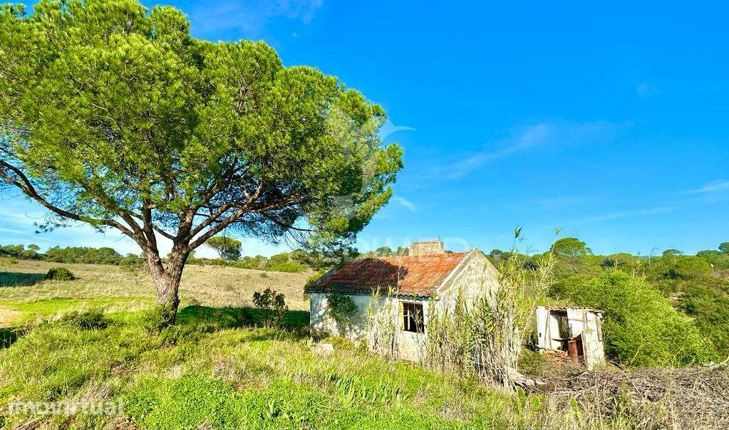 Herdade em Melides, vista mar - Grande imagem: 3/21