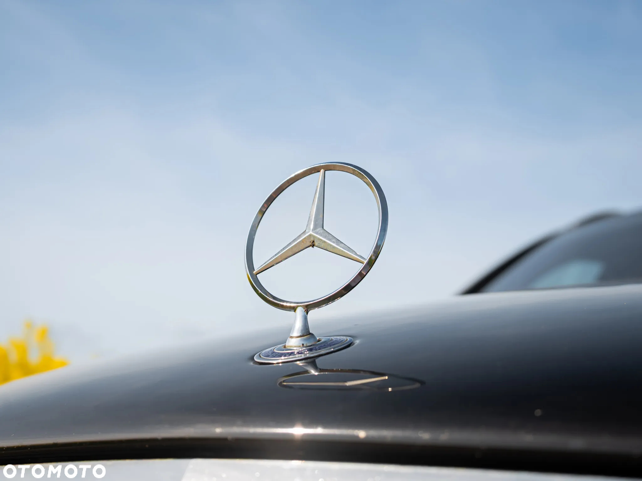 Mercedes-Benz Klasa E 320 T Avantgarde - 3