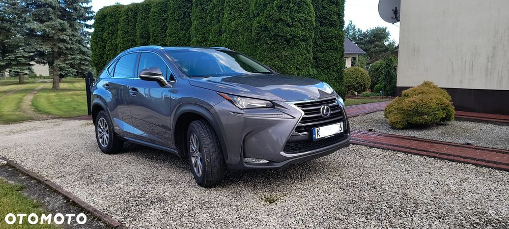 Lexus NX 300h Elite AWD - 8