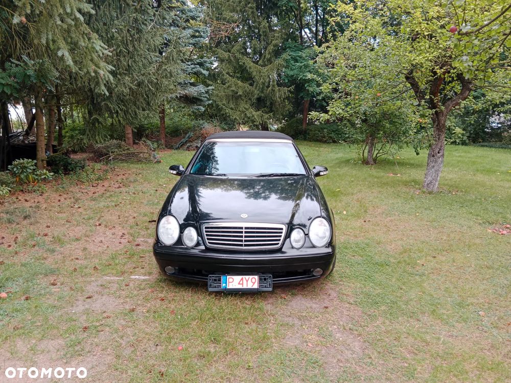Mercedes-Benz Clk 430 2001 photo 2
