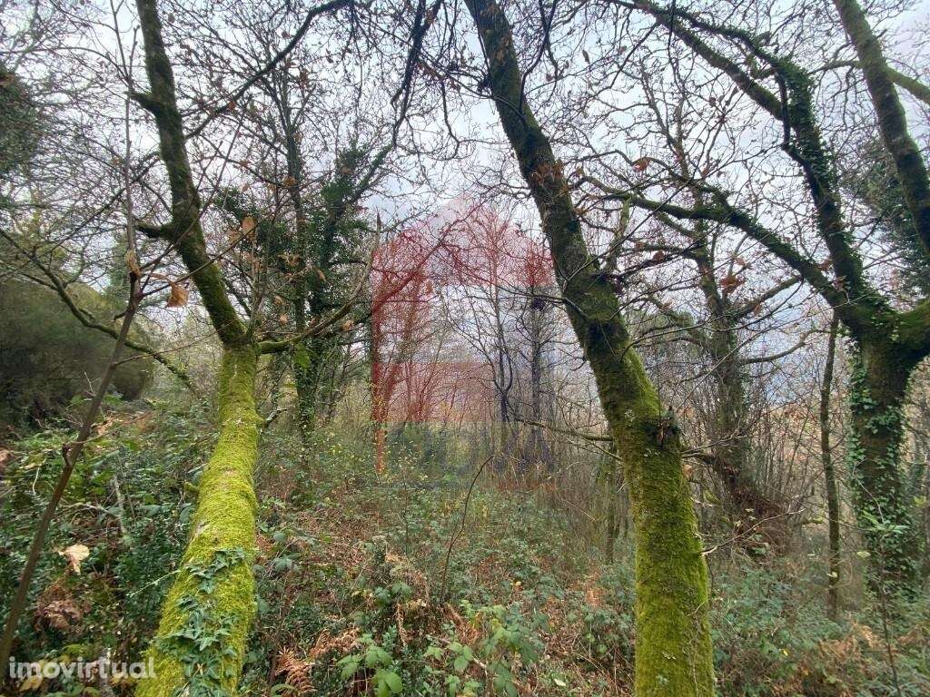 2 Terrenos para venda, Cuide de Vila Verde - Grande imagem: 2/20