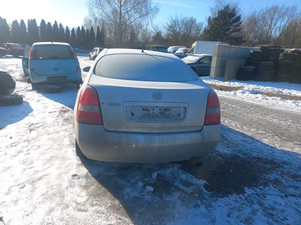 Nissan Primera P12 2.2 Dci sedan 02r KL0 wszystkie części maska zderzak lampa - 4