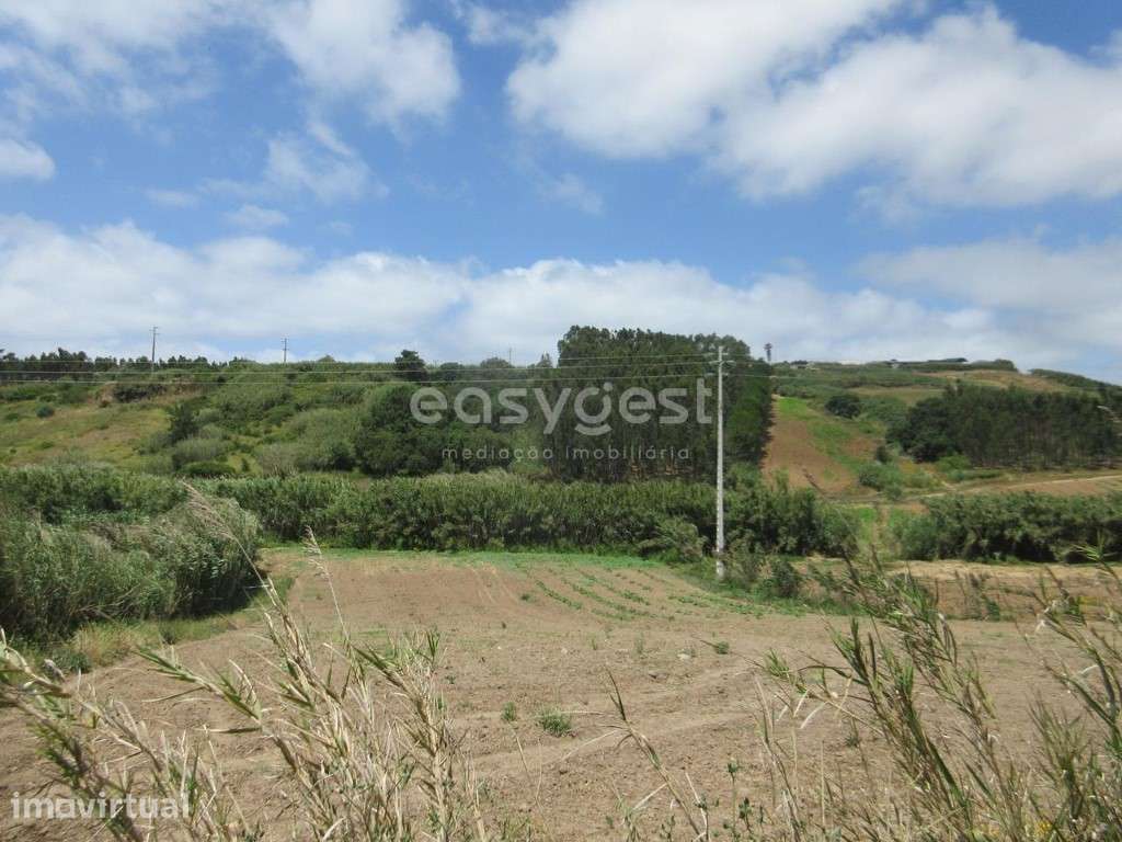 Terreno agrícola de 5920 m2 em Vale Verde, muito perto da Lourinhã - Grande imagem: 5/16