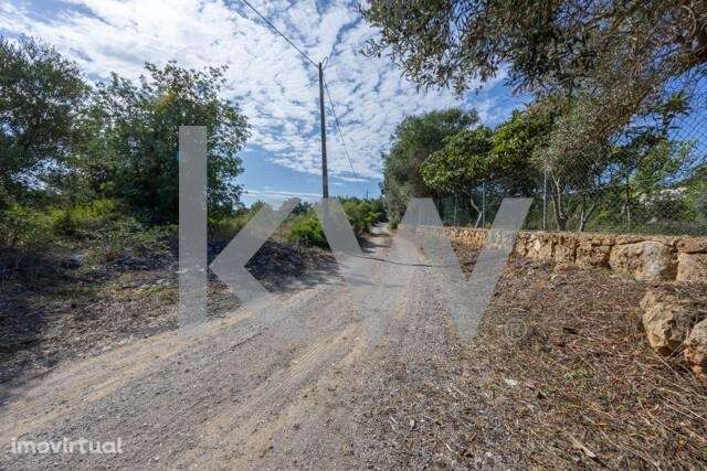 Terreno Rústico com 8 650m2 no Poço Longo, Quelfes - Grande imagem: 5/23