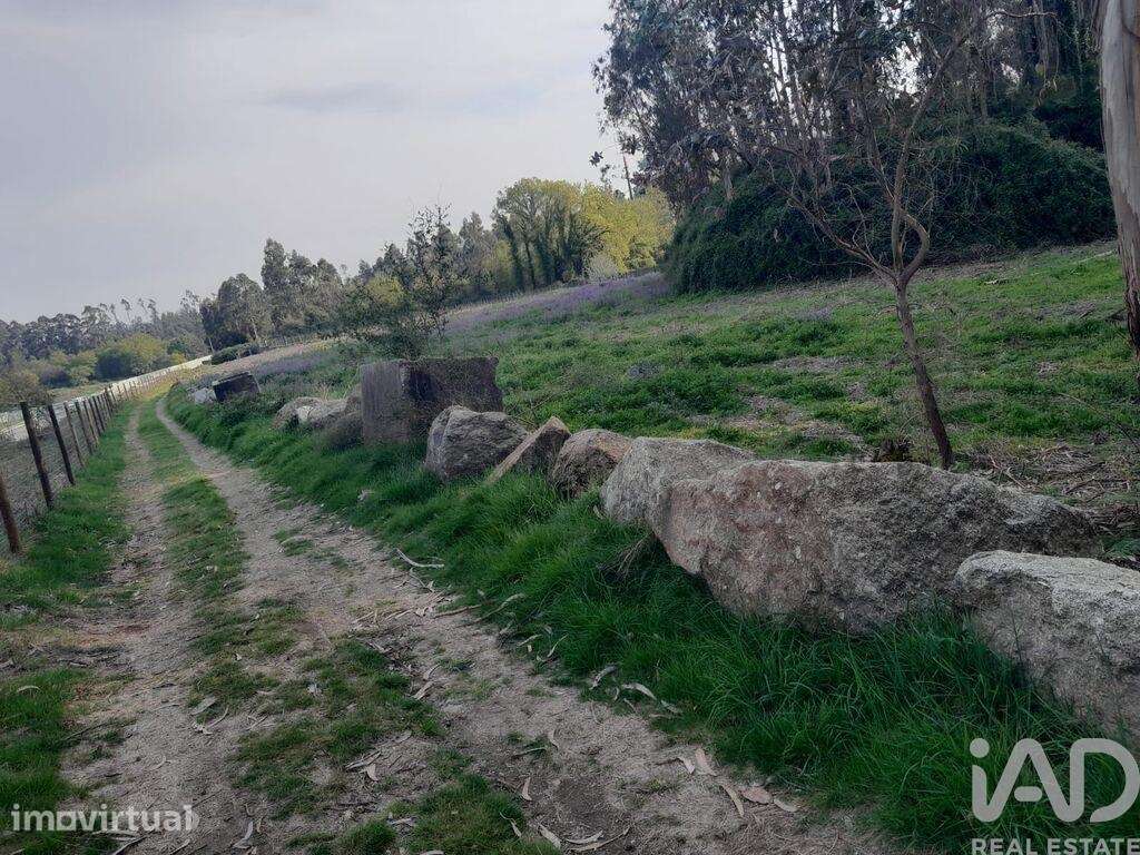 Terreno Agrícola em Requião - Grande imagem: 4/5