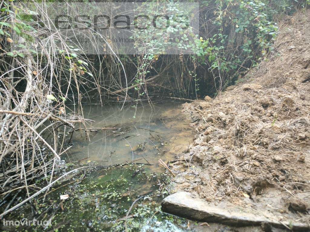 Encosta da Várzea - S. Domingos - Grande imagem: 4/8