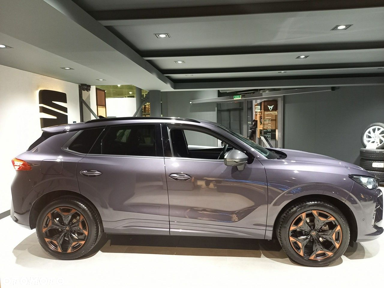 Cupra Terramar - 4