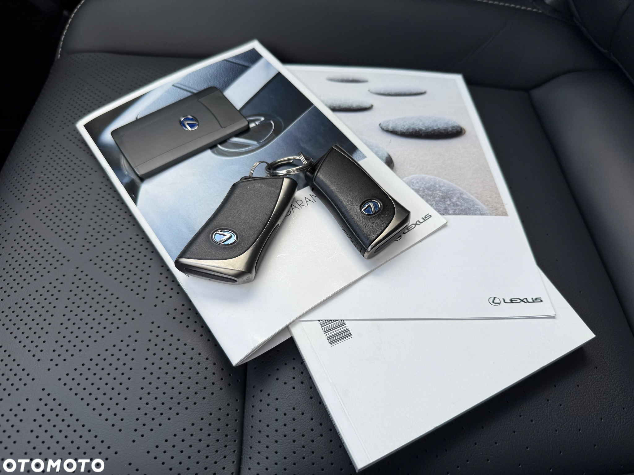 Lexus UX 250h - 31
