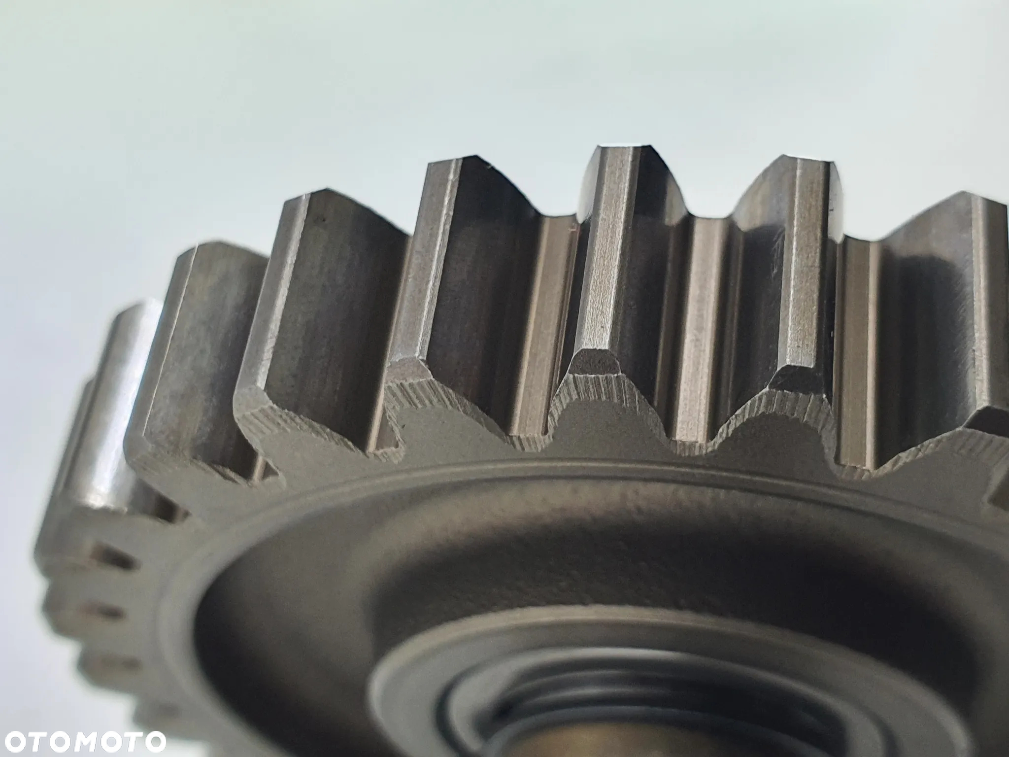 TRYB ZEBATKA KOLO ZEBATE  TGB BLADE 550 - 5