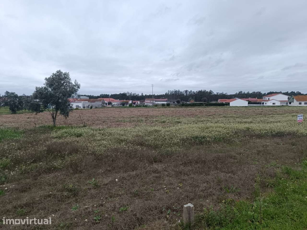 Terreno  Venda em Louriçal,Pombal - Grande imagem: 5/6