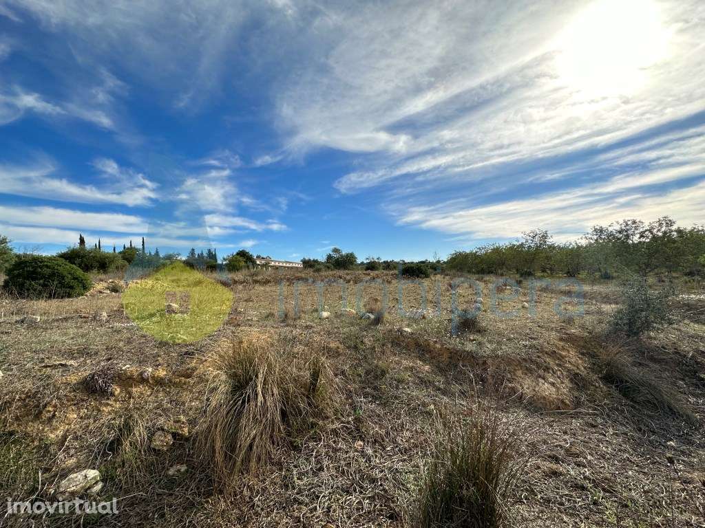 Terreno agrícola para investimento em Algoz - Grande imagem: 3/5