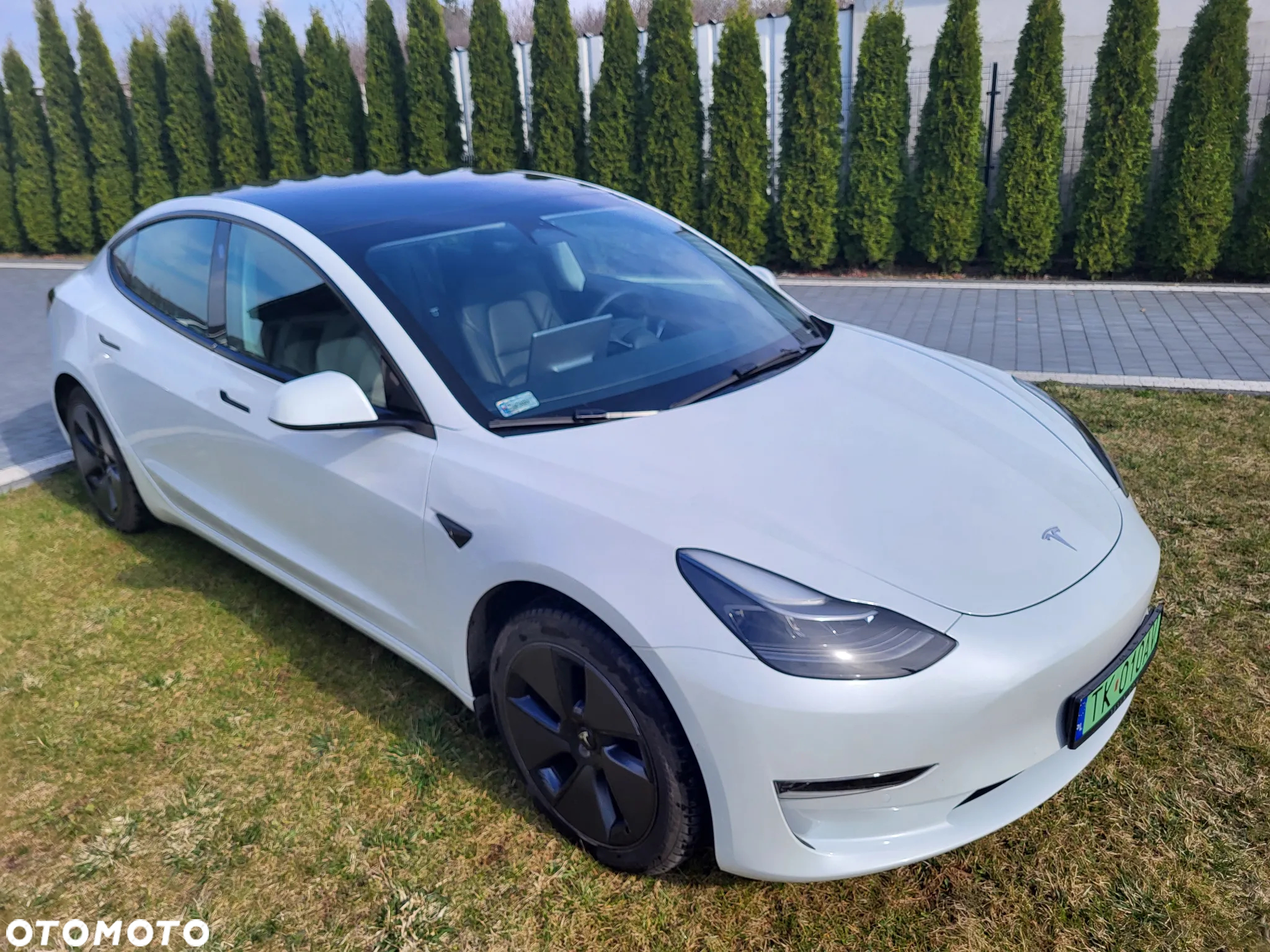 Tesla Model 3 - 8