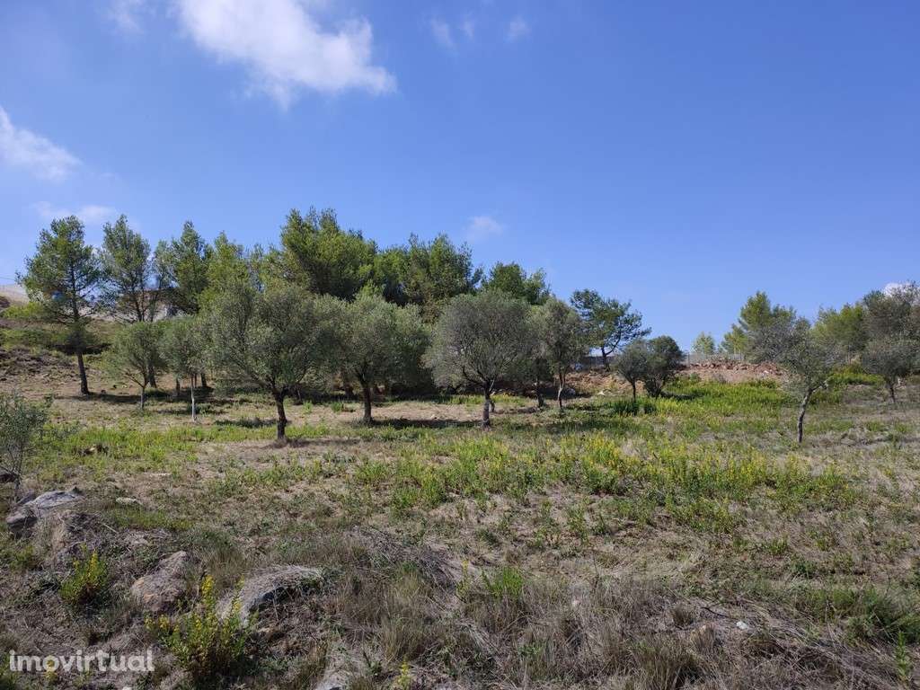 Terreno Urbanizável localizado em Bicesse, Alcabideche, inserido no... - Grande imagem: 3/4