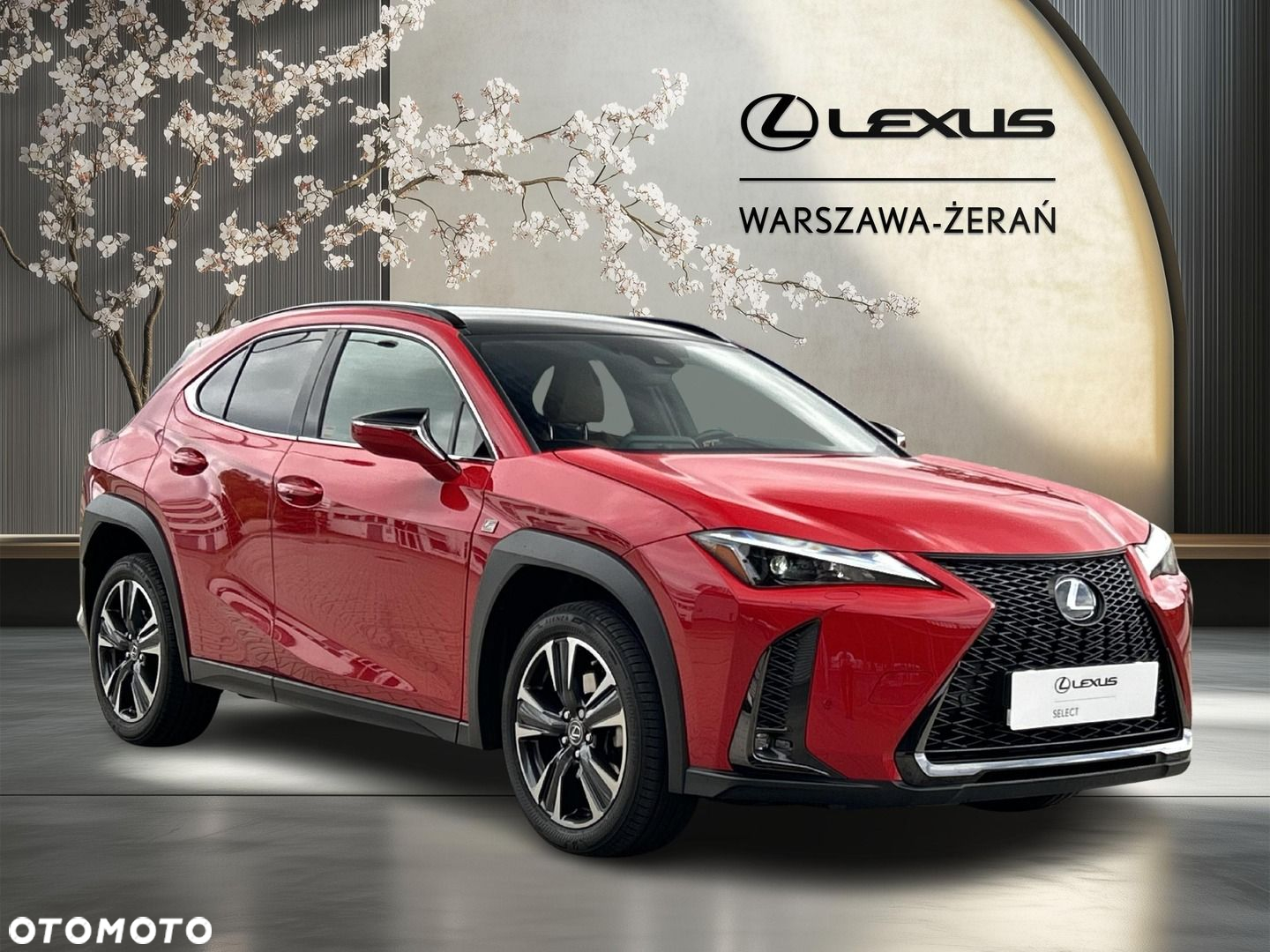 Lexus UX - 9