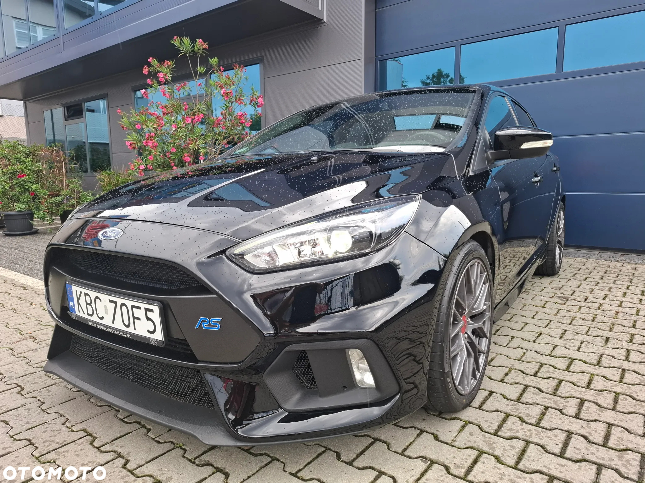 Ford Focus 2.3 EcoBoost S&S Allrad RS Blue & Black - 19