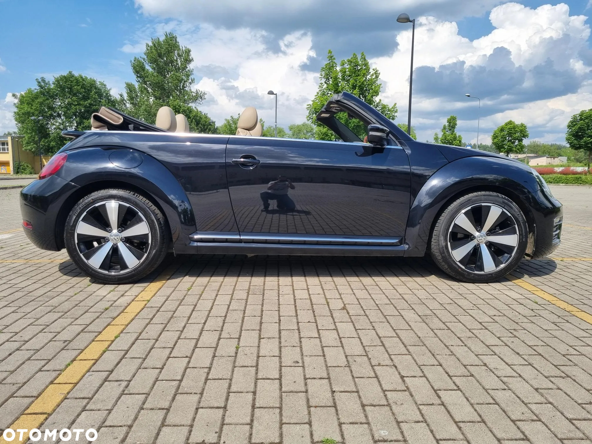 Volkswagen Beetle - 8