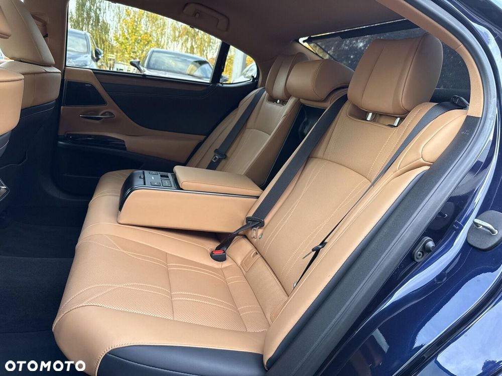 Lexus ES 300h Omotenashi - 14