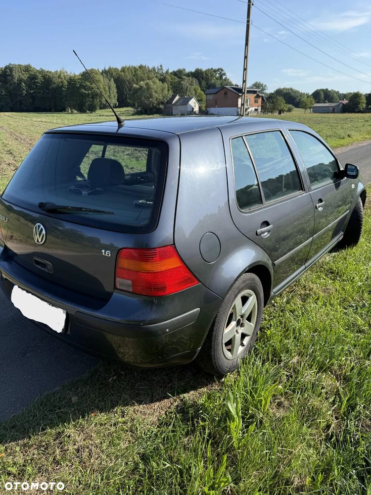 Volkswagen Golf - 16