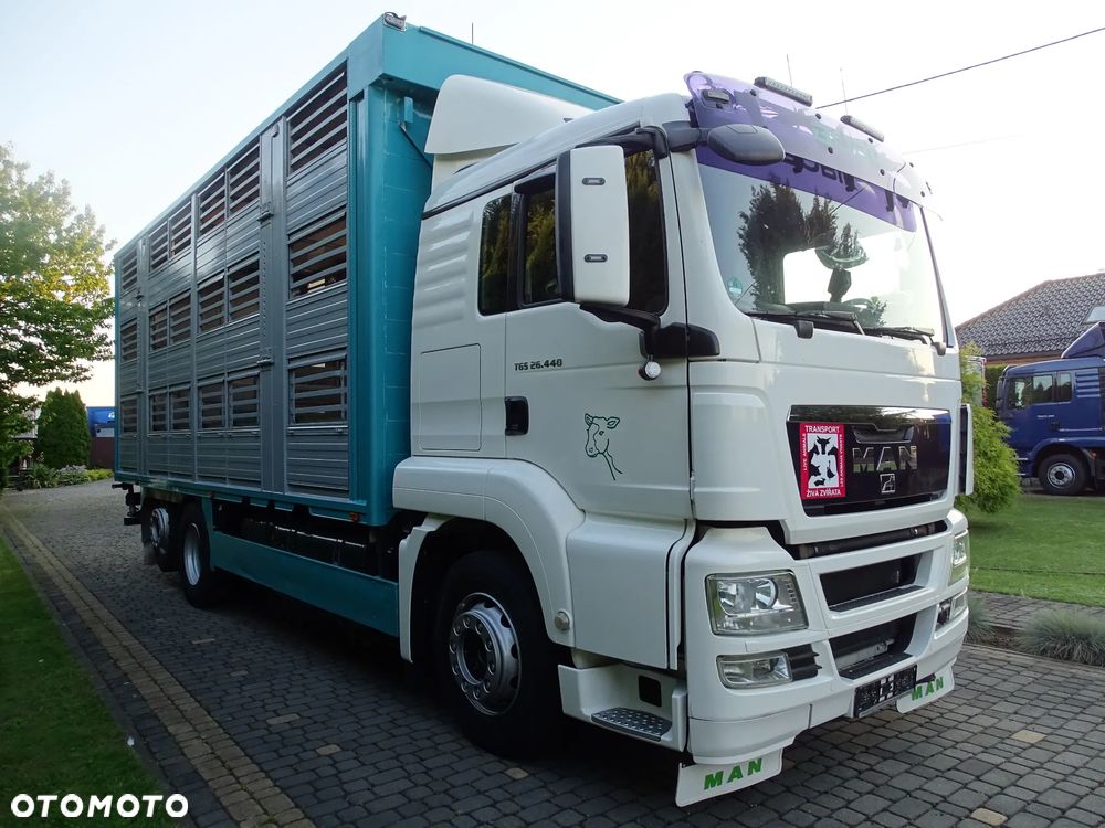 MAN TGX 26.440 DO ŻYWCA / ZWIERZĄT / BYDŁA / TRZODY / SPROWADZONY / 3 POZIOMY / - 3
