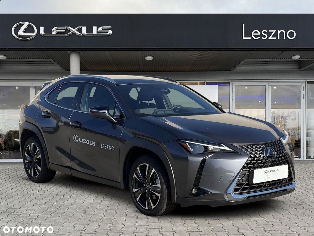 Lexus UX 300h Business - 5