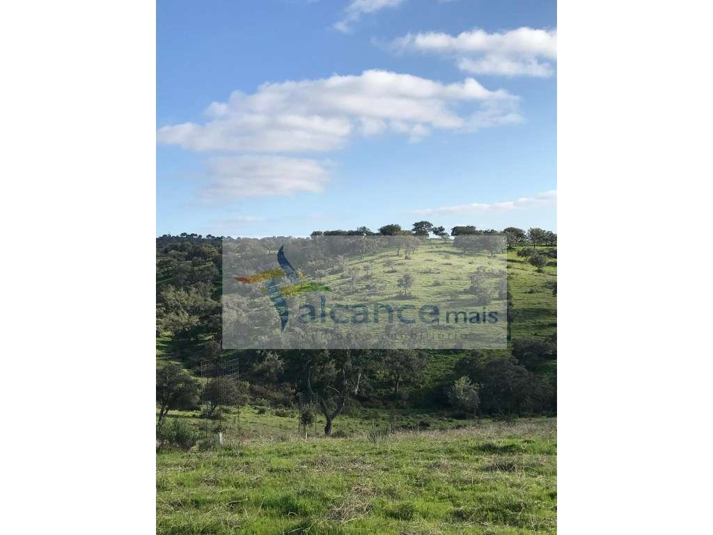 Herdade com 814hectares no Baixo Alentejo / Moura / Fronteira com E... - Grande imagem: 2/21